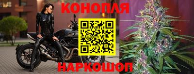 герыч Новокубанск