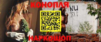 дживик Новозыбков