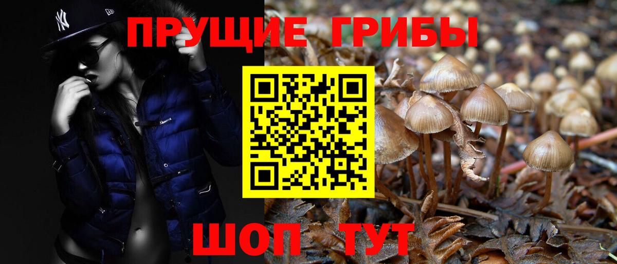 Галлюциногенные грибы мицелий Северобайкальск
