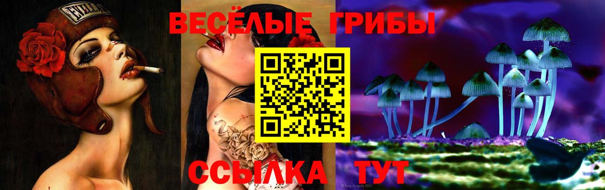 Псилоцибиновые грибы мухоморы  Псилоцибиновые грибы GOLDEN TEACHER  Северобайкальск  Вход с VPN 